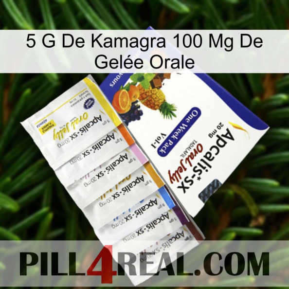 5 G De Kamagra 100 Mg De Gelée Orale 11.jpg
